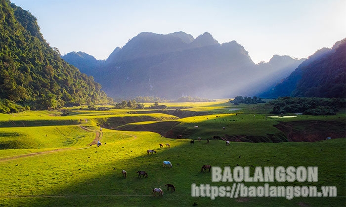 Ngắm thảo nguyên Đồng Lâm mùa nước cạn