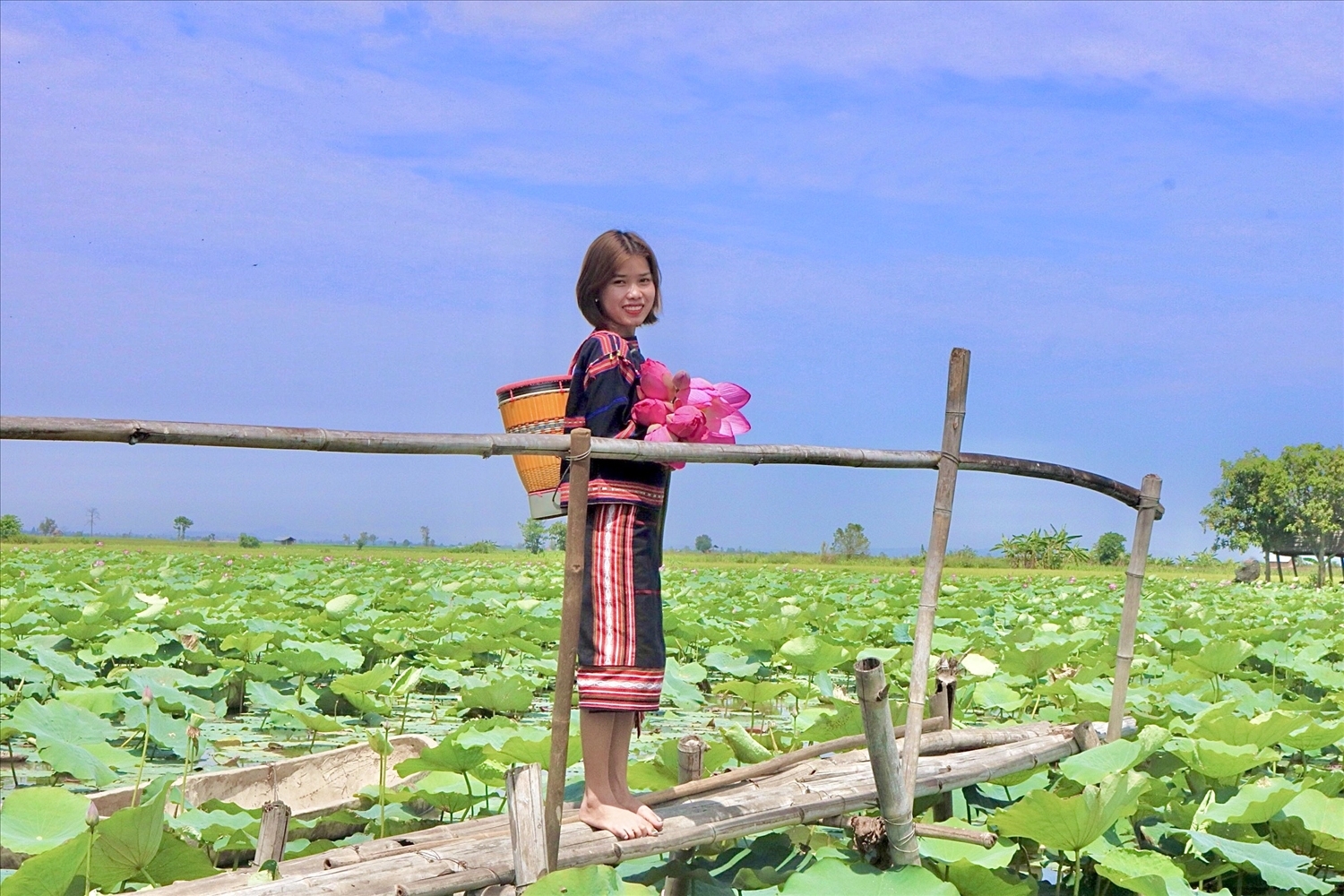 Trải nghiệm hương sắc đồng sen ở Phú Thiện