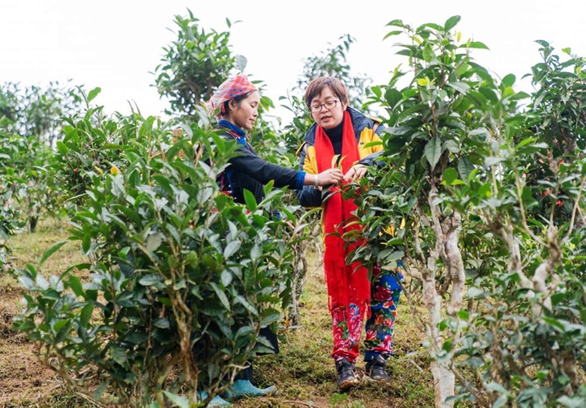 Bản Liền - Điểm đến ấn tượng