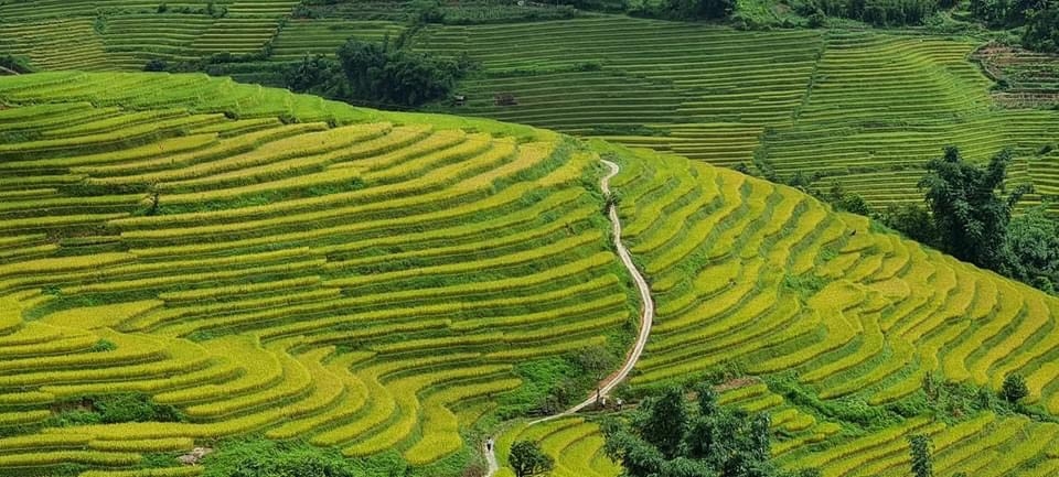 Nậm Cang SaPa Bình Yên Mà Hấp Dẫn