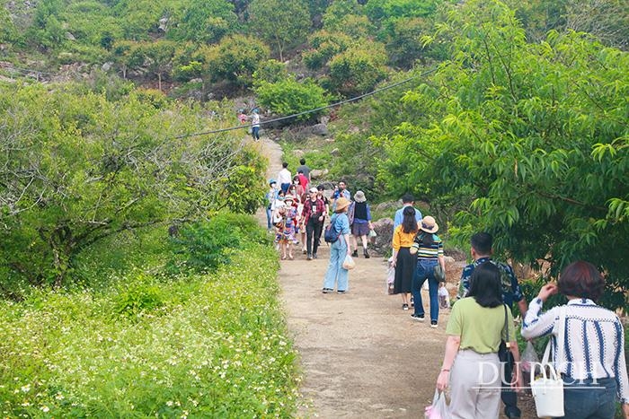 Đắm mình trong thung lũng rừng mơ đẹp như miền cổ tích ở Mộc Châu