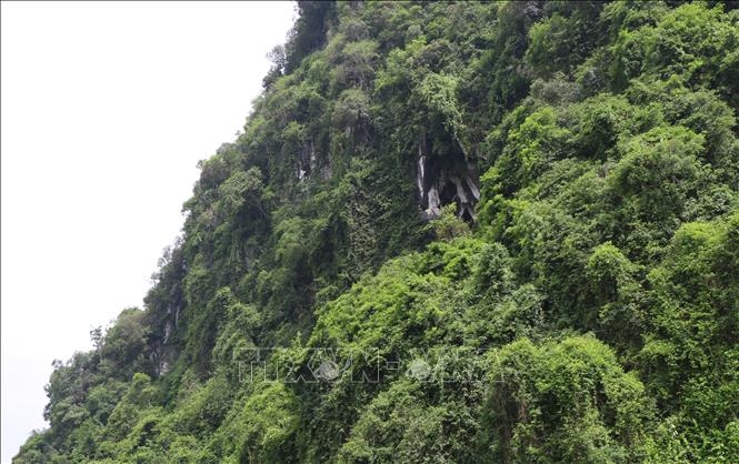 Chùa Hang Úc - công trình văn hóa, tâm linh độc đáo ở Yên Bái