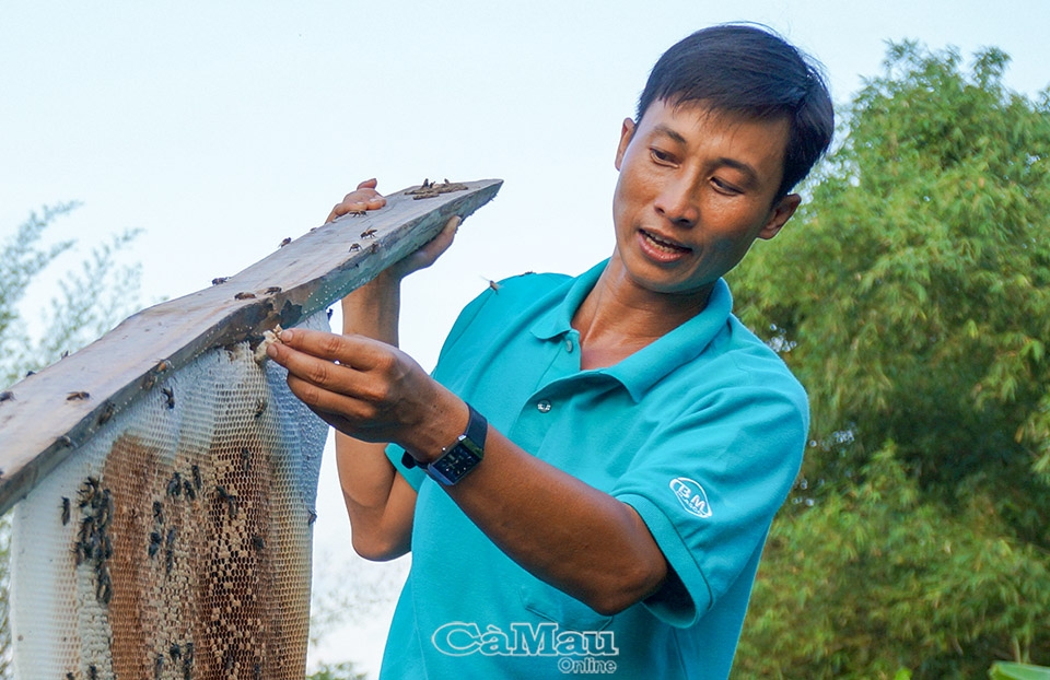 Về U Minh chiêm ngưỡng các kỷ lục