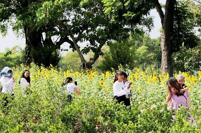 Đảo Bồng Lai - hồ Tịnh Tâm: Vườn ngự uyển bên Kinh thành Huế