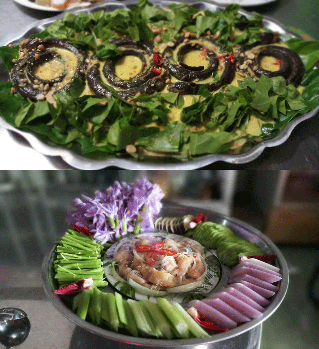 Về thăm rừng thuốc “độc nhất miền Tây” ở Long An