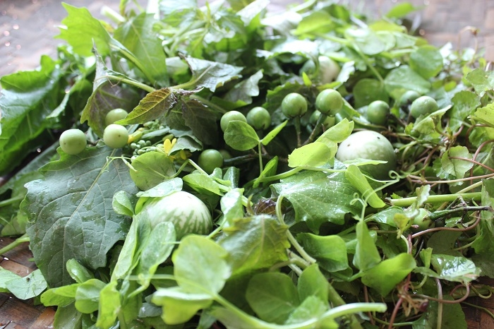 Món nộm rau rừng Món nộm rau rừng