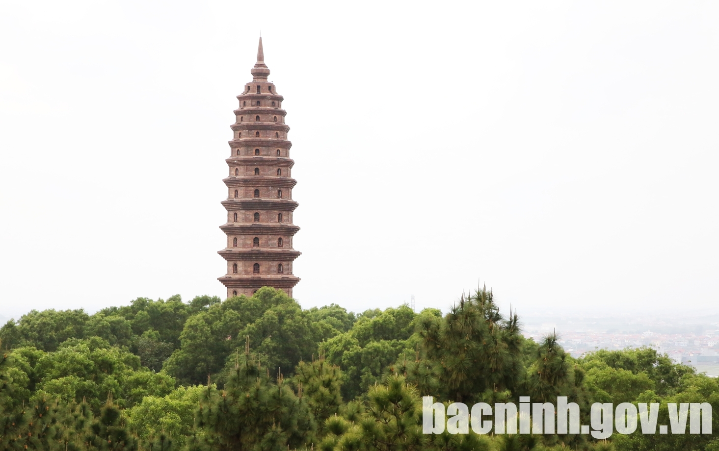 Bắc Ninh tổ chức tour miễn phí phục vụ các đoàn thể thao tham gia thi đấu SEA Games 31 Bắc Ninh tổ chức tour miễn phí phục vụ các đoàn thể thao tham gia thi đấu SEA Games 31