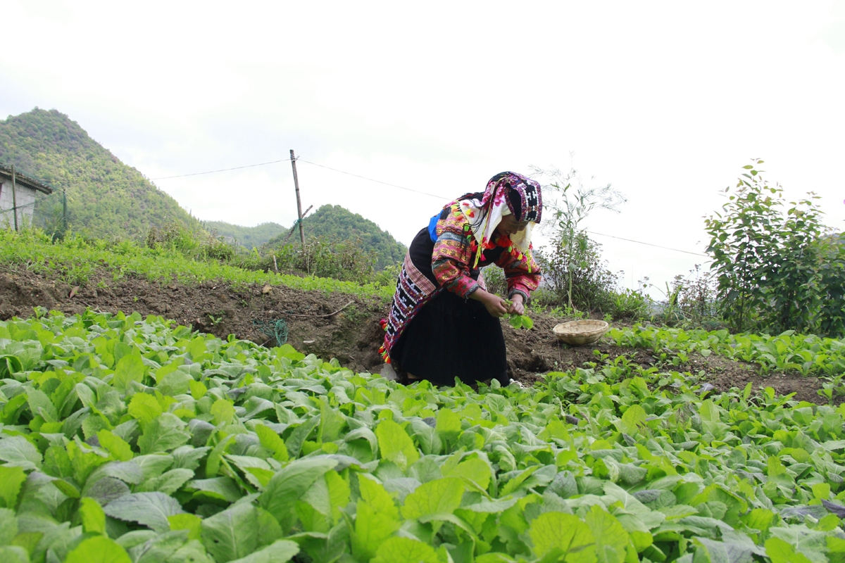Khám phá ngôi làng cổ tích dưới chân núi rồng