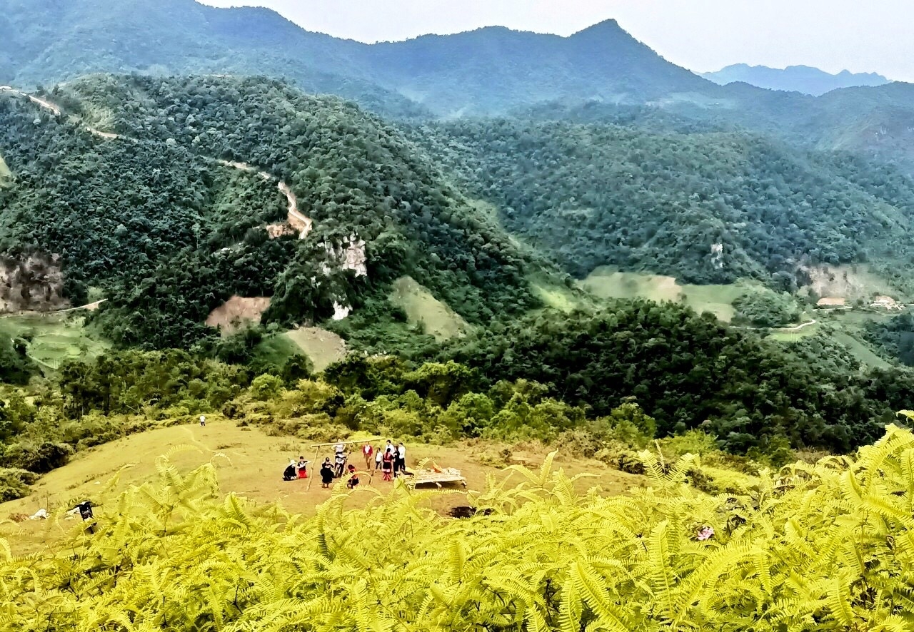 Đồi sim An Thắng - Điểm du lịch cuối tuần