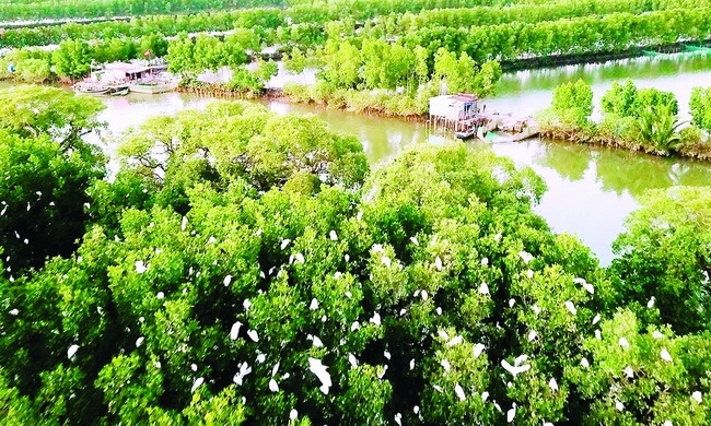 Trải nghiệm Cồn Chim Trải nghiệm Cồn Chim