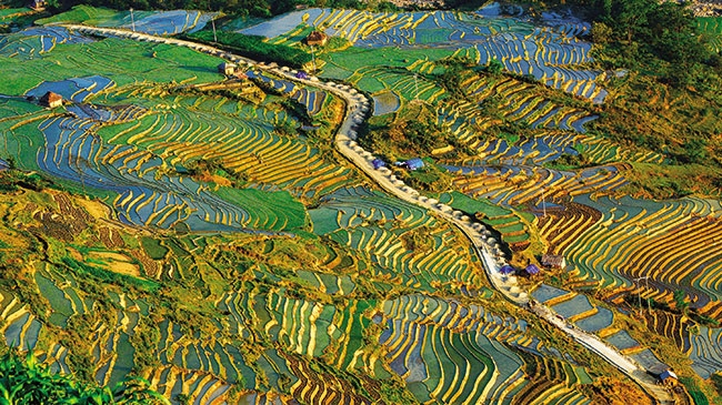 Ngắm mùa nước đổ ở đâu đẹp nhất khi đến Lào Cai