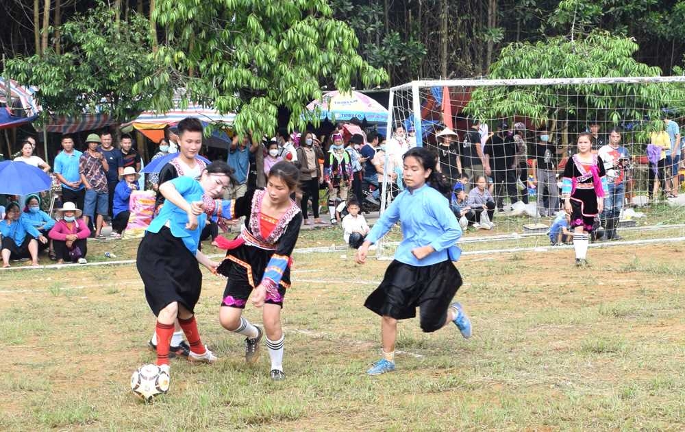 Trải nghiệm mùa hoa sim ở Hải Sơn