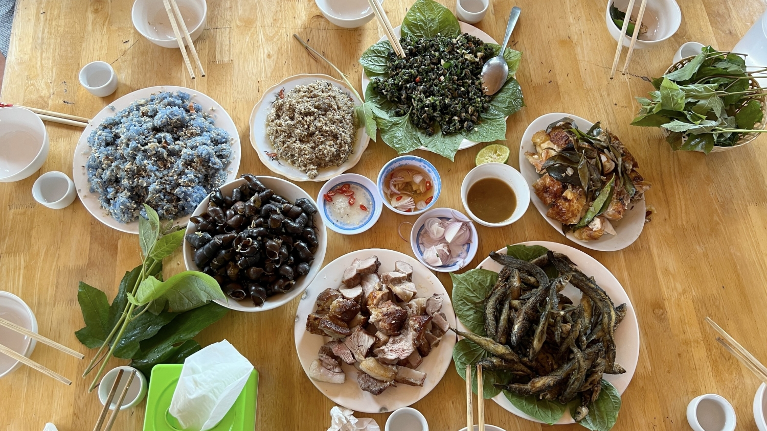 Khám phá Khe Rỗ - Lắng nghe bản “Nhạc rừng”