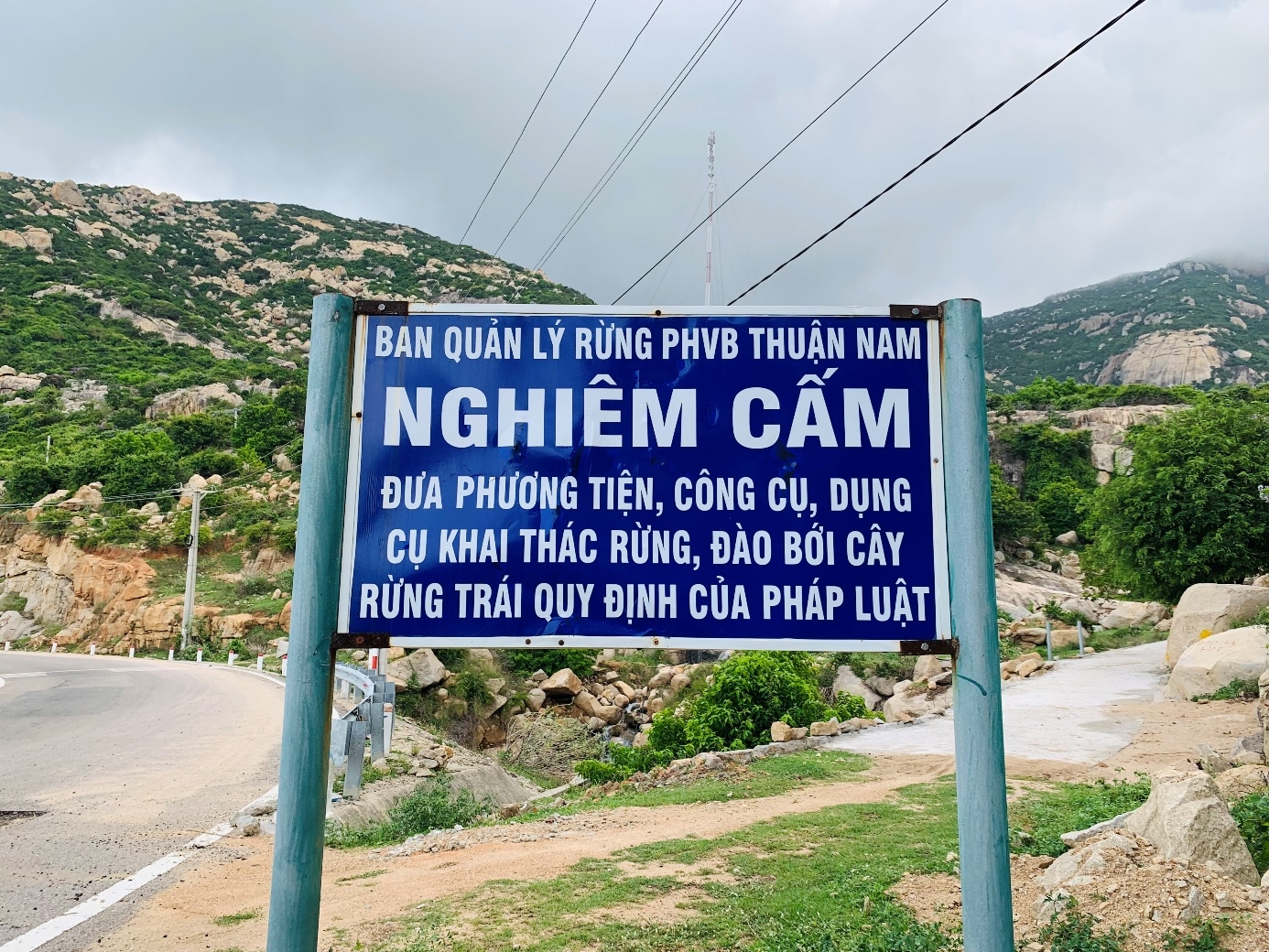 “Cung đường bằng lăng tím” – điểm check-in đang “HOT” tại Ninh Thuận “Cung đường bằng lăng tím” – điểm check-in đang “HOT” tại Ninh Thuận