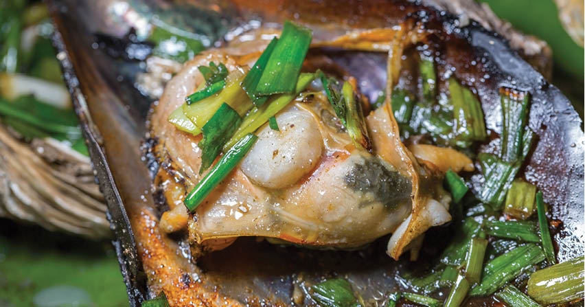 Đến Hòn Chảo ăn hải sản, lặn ngắm san hô