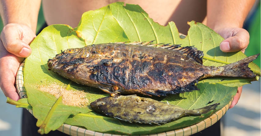 Đến Hòn Chảo ăn hải sản, lặn ngắm san hô