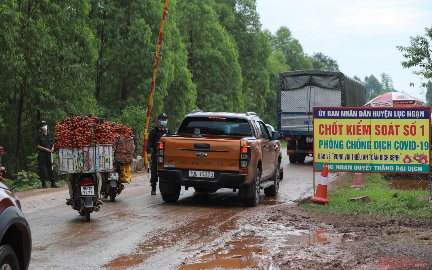 Rực rỡ sắc đỏ tại "vương quốc" vải thiều Bắc Giang