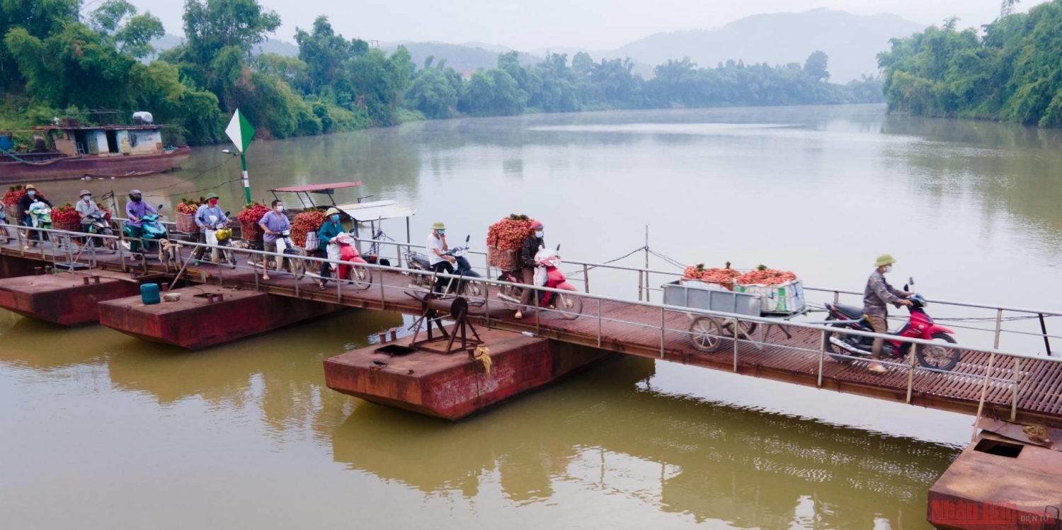 Rực rỡ sắc đỏ tại "vương quốc" vải thiều Bắc Giang