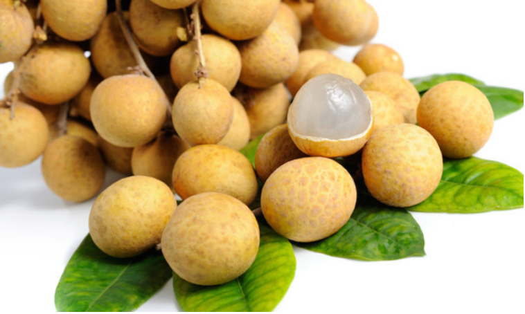 Nhãn lồng Hưng Yên có tiềm năng xuất khẩu lớn Nhãn lồng Hưng Yên có tiềm năng xuất khẩu lớn