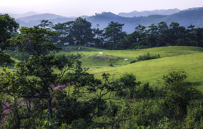 Bình yên trên thảo nguyên Khau Sao