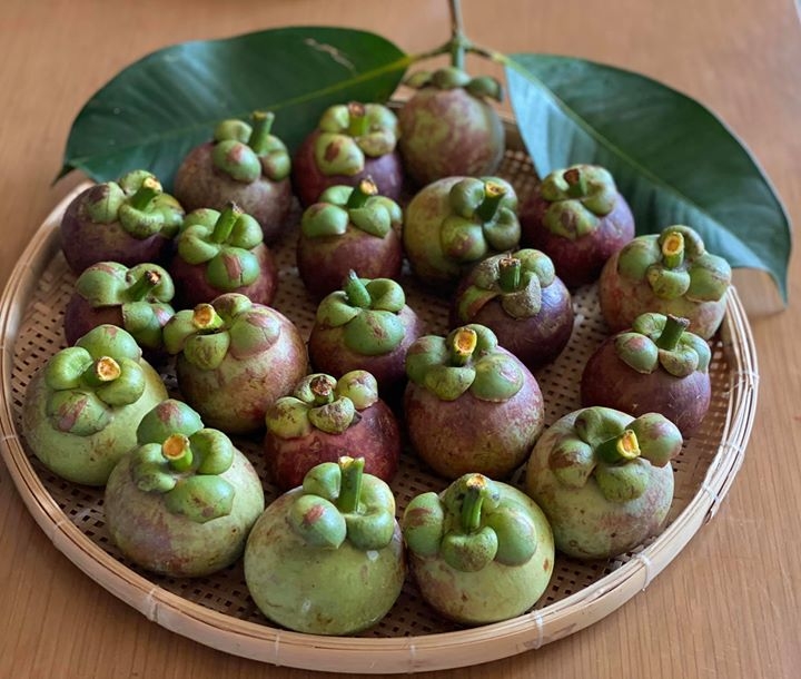 Đậm đà hương vị gỏi măng cụt Long Khánh Đậm đà hương vị gỏi măng cụt Long Khánh