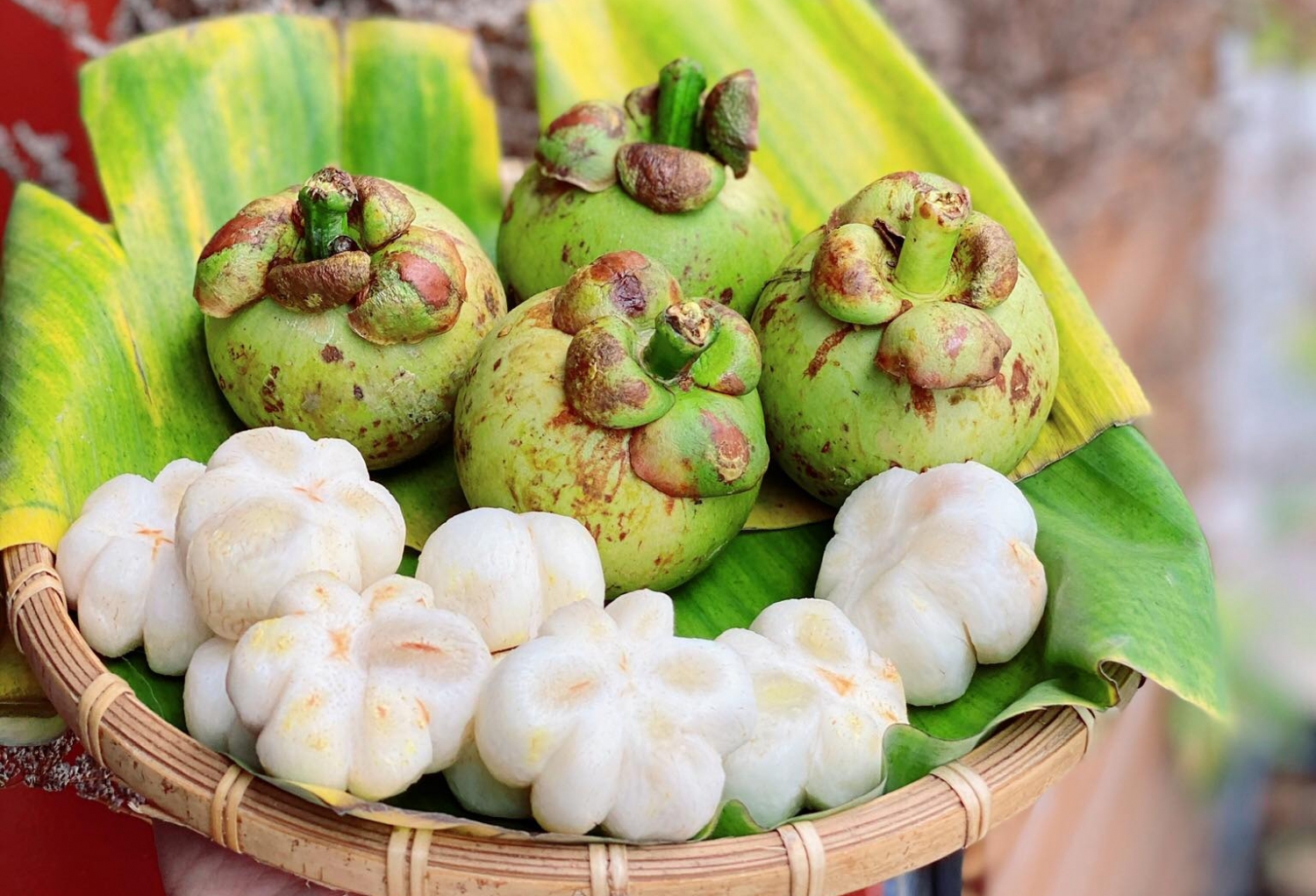 Đậm đà hương vị gỏi măng cụt Long Khánh Đậm đà hương vị gỏi măng cụt Long Khánh