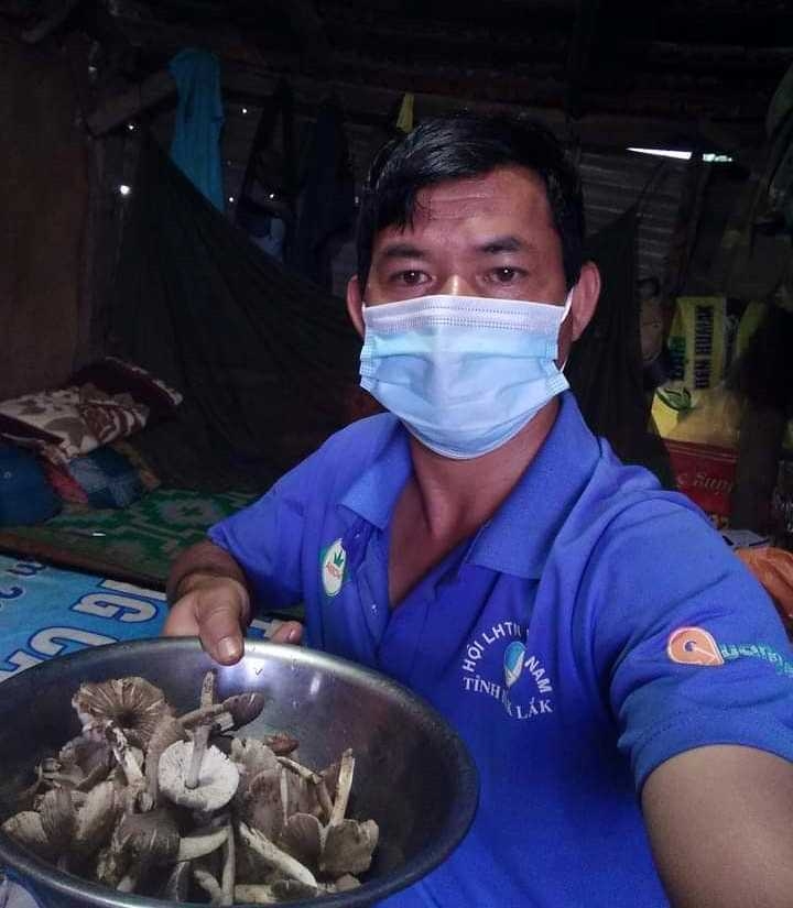 Ngọt ngon nấm mối Tây Nguyên