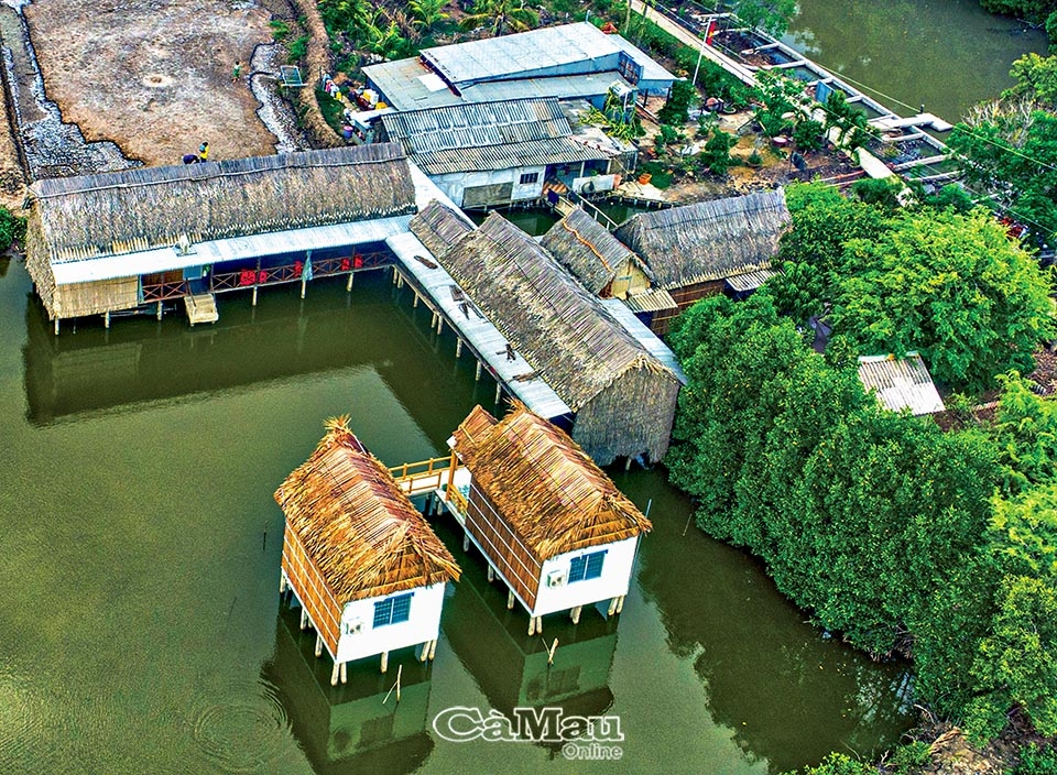 Du lịch xanh Mũi Cà Mau