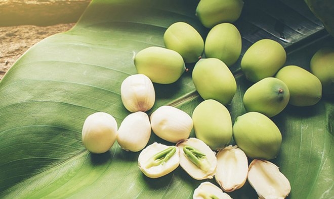 Một loài cây mà bộ phận nào cũng có thể dùng để chữa bệnh Một loài cây mà bộ phận nào cũng có thể dùng để chữa bệnh