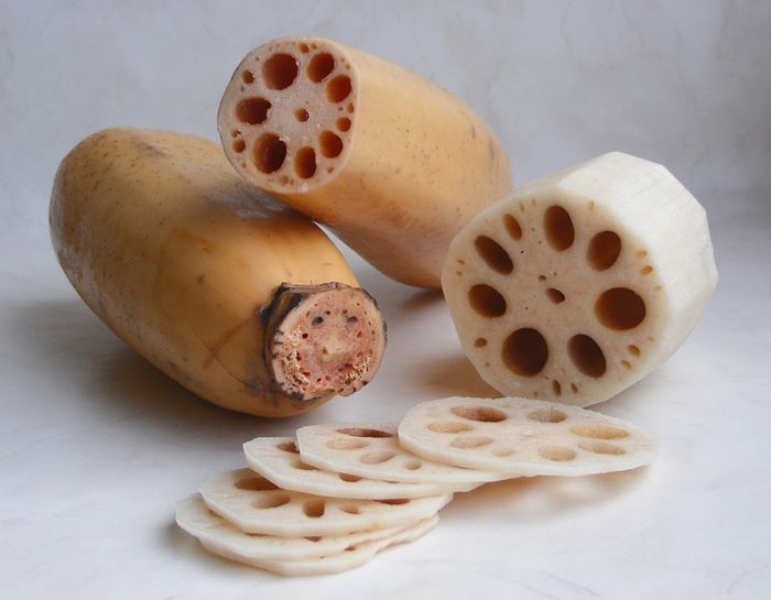 Một loài cây mà bộ phận nào cũng có thể dùng để chữa bệnh Một loài cây mà bộ phận nào cũng có thể dùng để chữa bệnh