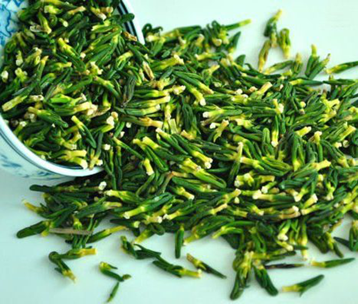 Một loài cây mà bộ phận nào cũng có thể dùng để chữa bệnh Một loài cây mà bộ phận nào cũng có thể dùng để chữa bệnh