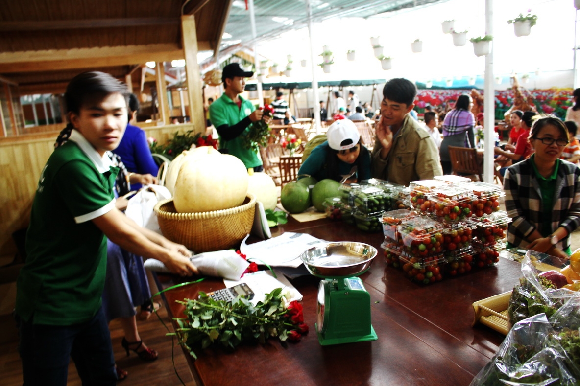 Lạc lối ở làng hoa