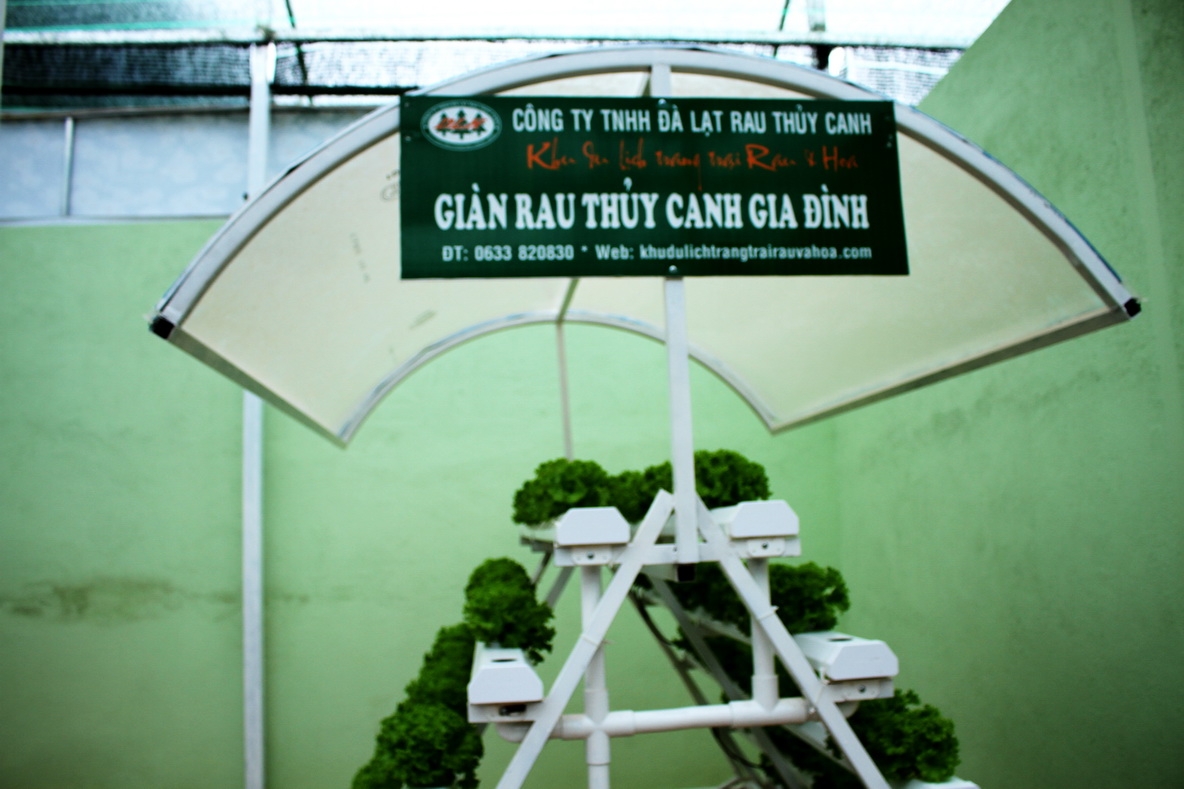 Lạc lối ở làng hoa