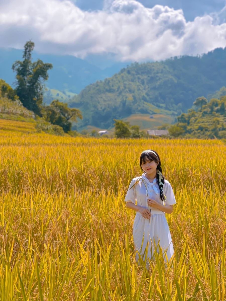 Mùa vàng rực rỡ ở Nậm Cang - Sa Pa Mùa vàng rực rỡ ở Nậm Cang - Sa Pa