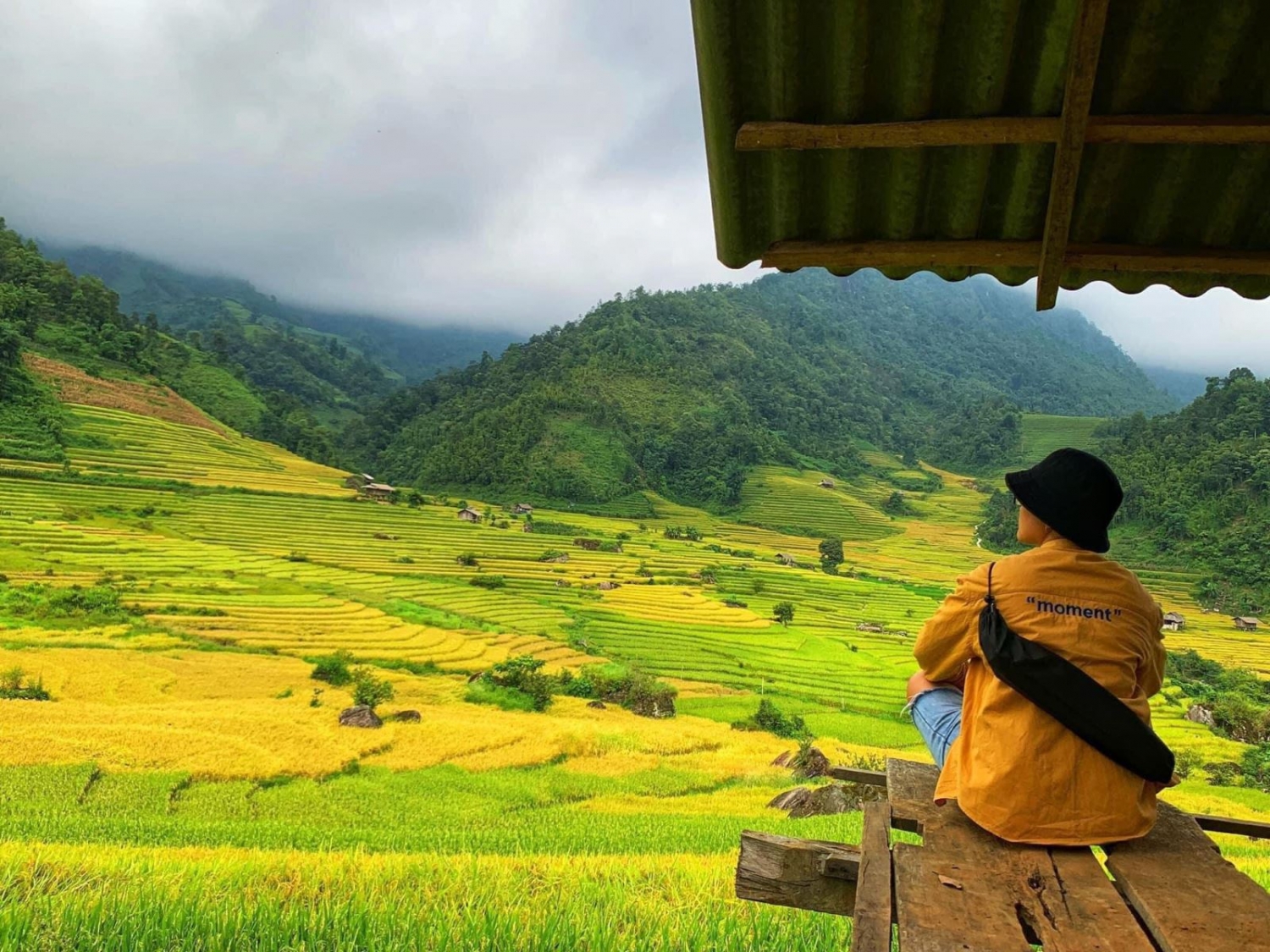 Mùa vàng rực rỡ ở Nậm Cang - Sa Pa Mùa vàng rực rỡ ở Nậm Cang - Sa Pa