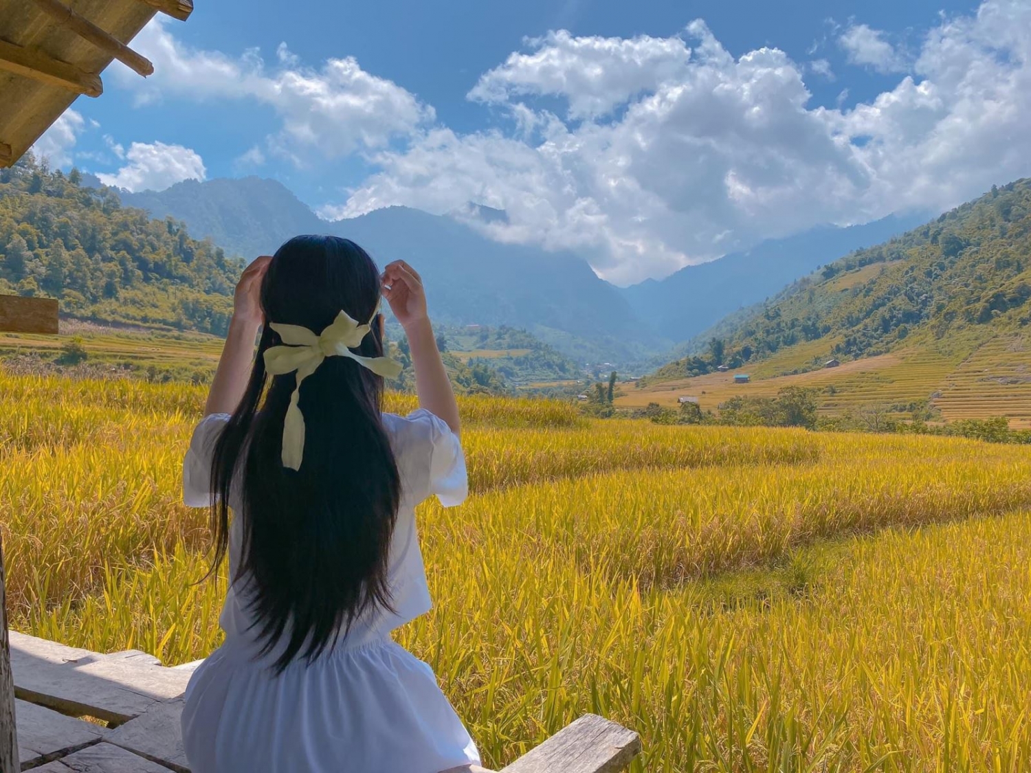 Mùa vàng rực rỡ ở Nậm Cang - Sa Pa Mùa vàng rực rỡ ở Nậm Cang - Sa Pa