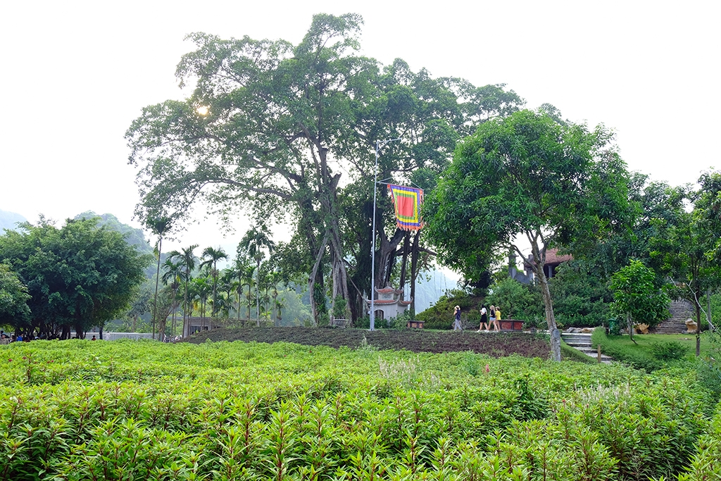 Vườn chim Thung Nham – điểm du lịch sinh thái đa dạng, ngày càng hấp dẫn của Ninh Bình Vườn chim Thung Nham – điểm du lịch sinh thái đa dạng, ngày càng hấp dẫn của Ninh Bình