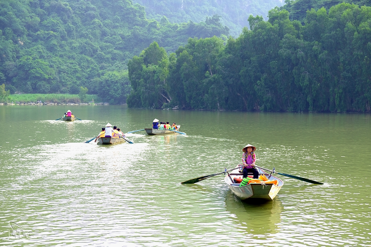 Vườn chim Thung Nham – điểm du lịch sinh thái đa dạng, ngày càng hấp dẫn của Ninh Bình Vườn chim Thung Nham – điểm du lịch sinh thái đa dạng, ngày càng hấp dẫn của Ninh Bình