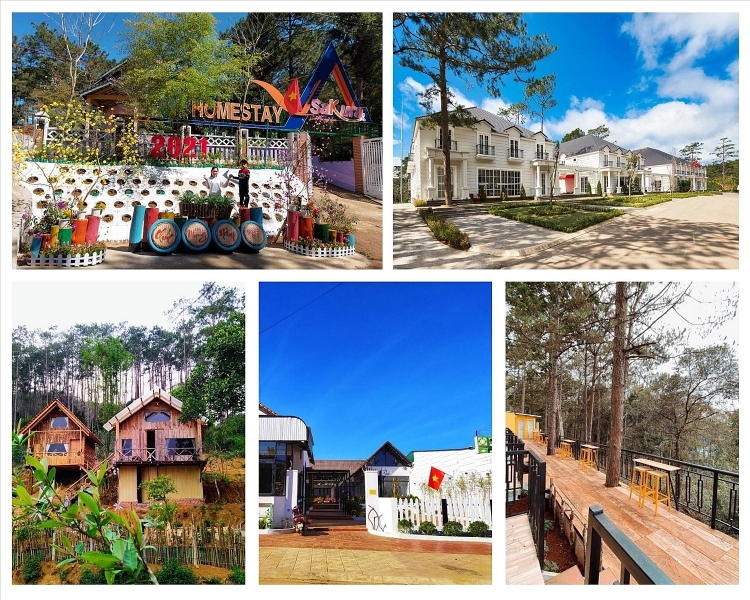 Măng Đen “Đà Lạt thứ hai” giữa núi rừng Tây Nguyên