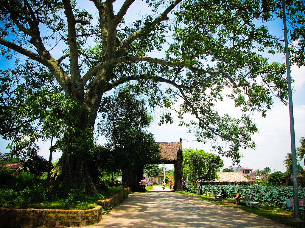 kham pha quan the di san van hoa lang co duong lam son tay