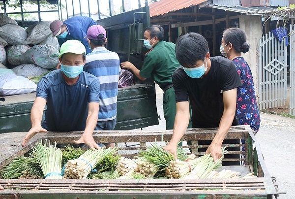 Bộ NN&PTNT đề nghị TP Hà Nội hỗ trợ cho các tài xế vận chuyển nông sản Bộ NN&PTNT đề nghị TP Hà Nội hỗ trợ cho các tài xế vận chuyển nông sản