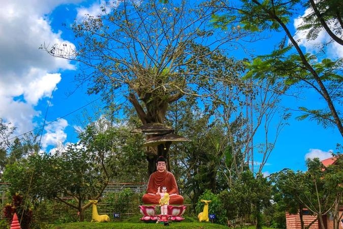 Ngắm khung cảnh bình yên của ngôi chùa lớn nhất Bảo Lộc