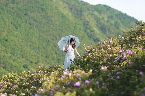 Khám phá núi Cao Ly ở Bình Liêu