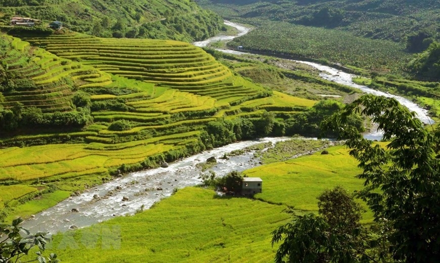 Khám phá mùa lúa chín vàng óng và phiên chợ Sừng ở vùng biên giới Sì Lở Lầu