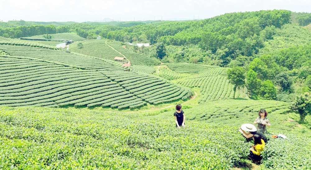 "Đổi gió" về nông thôn trải nghiệm