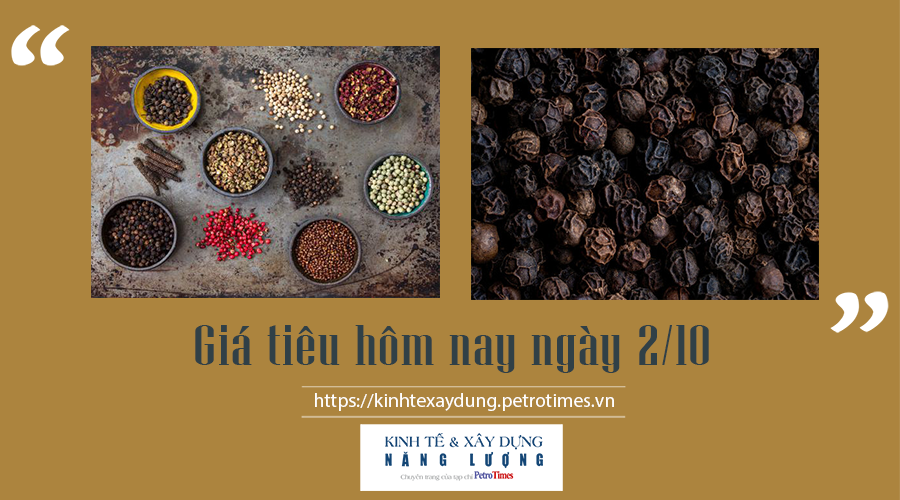 Giá tiêu hôm nay ngày 2/10: Vẫn giữ đà tăng