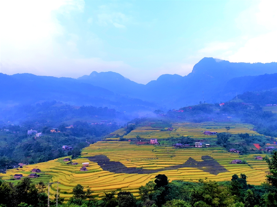 Thu Xín Mần Thu Xín Mần