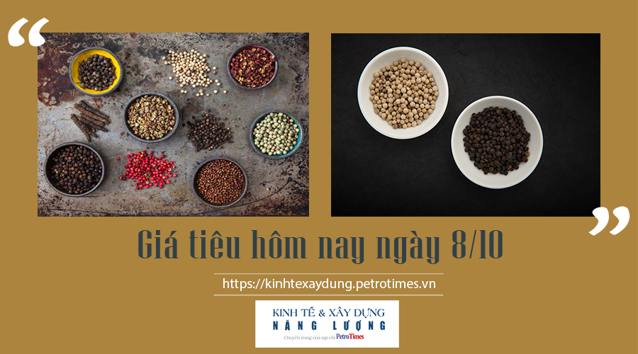 Giá tiêu hôm nay ngày 8/10: Đồng loạt tăng
