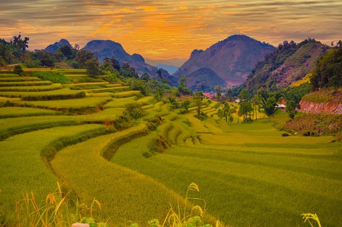 Đẹp nao lòng trên những thửa ruộng bậc thang Tủa Chùa