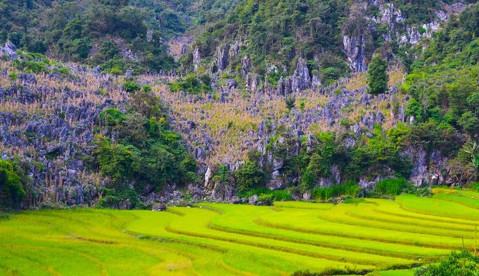 Đẹp nao lòng trên những thửa ruộng bậc thang Tủa Chùa